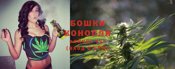 крисы Белоозёрский