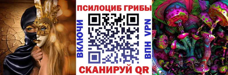Псилоцибиновые грибы Cubensis Купить Дубовка